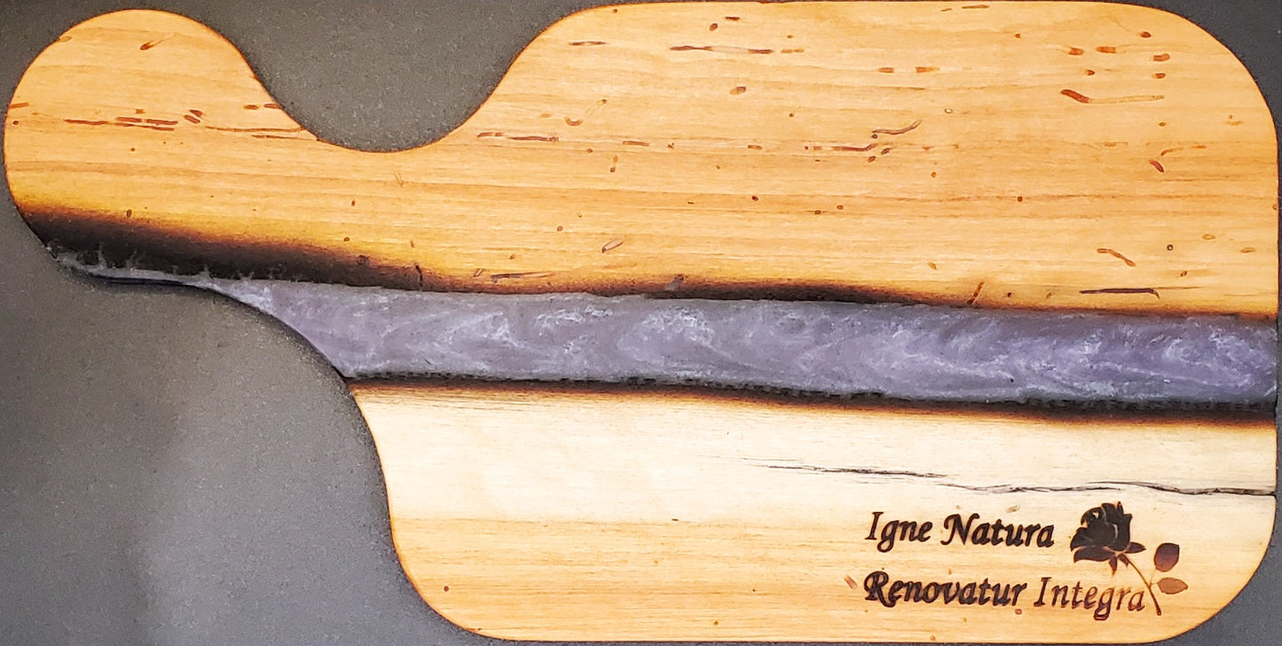 Aspen and Dark Purple Dixie remnant snack board