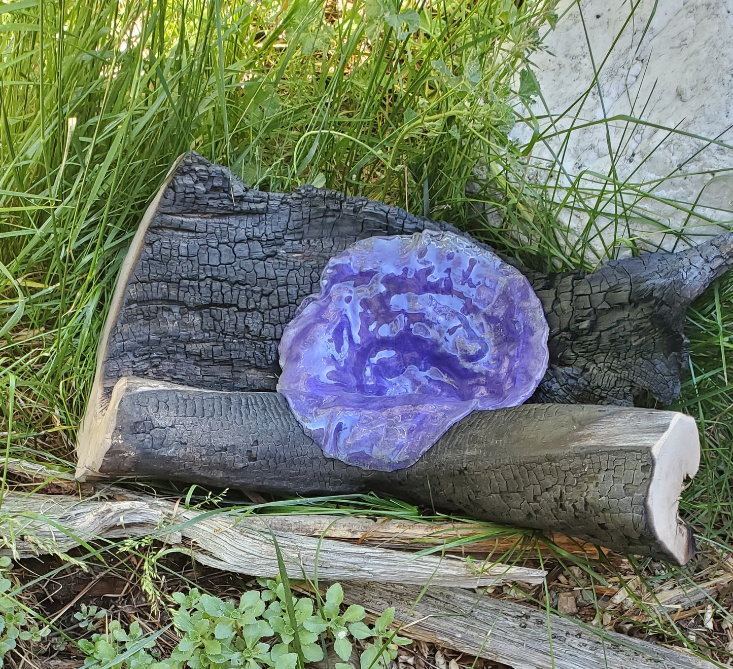 Purple Bird Bath